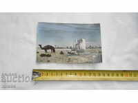 TUNISIA - Buzunar - FRUMOS PK