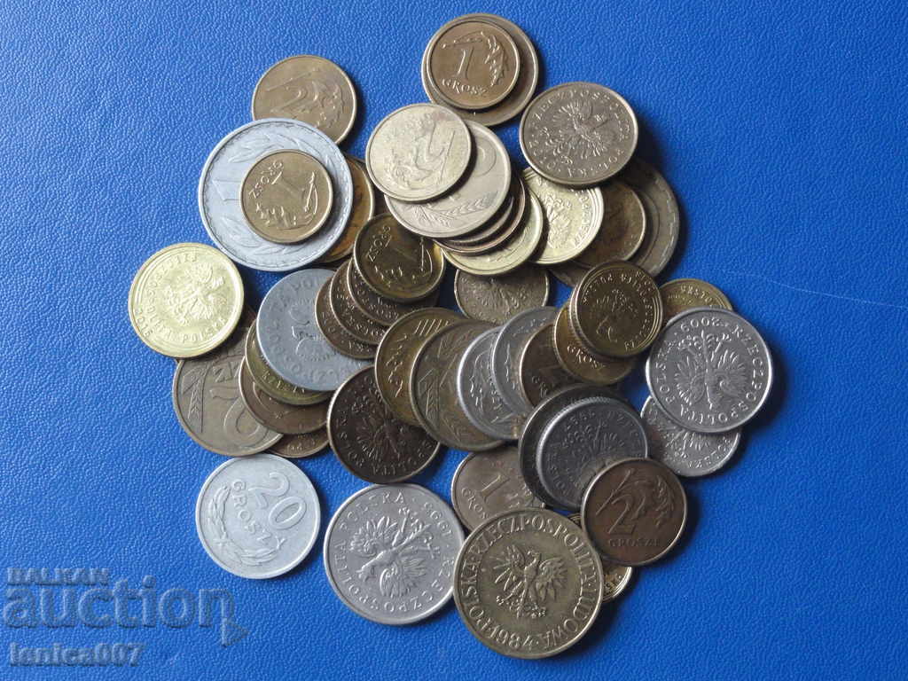 Poland - 50 coins with price 12.00 BGN | € 6.14 Poland - 50 coins with price 12.00 BGN | € 6.14