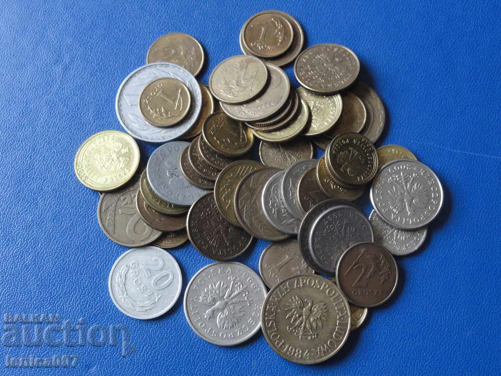 Auction Poland - 50 coins Auction Poland - 50 coins