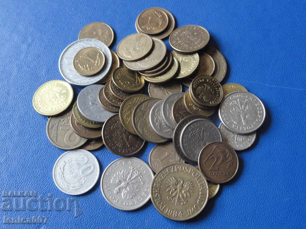 Delivery of Poland - 50 coins Delivery of Poland - 50 coins