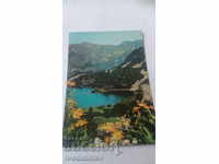 Пощенска картичка Пирин Василашкото езеро
