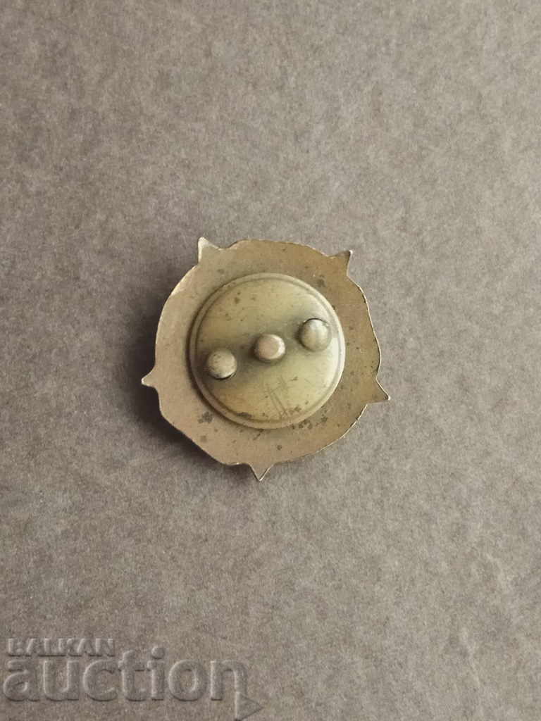 SBPF badge: Death of fascism. Freedom for the people with price 30.00 BGN | € 15.34 SBPF badge: Death of fascism. Freedom for the people with price 30.00 BGN | € 15.34