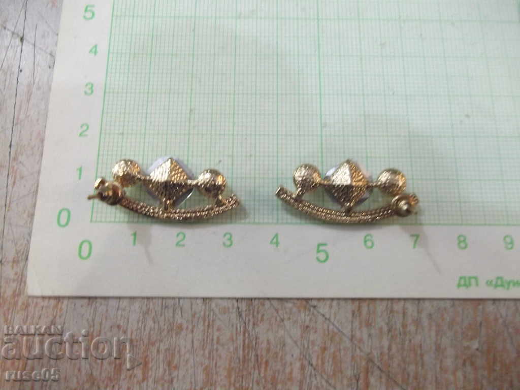 Delivery of Earrings imitation jewelry set