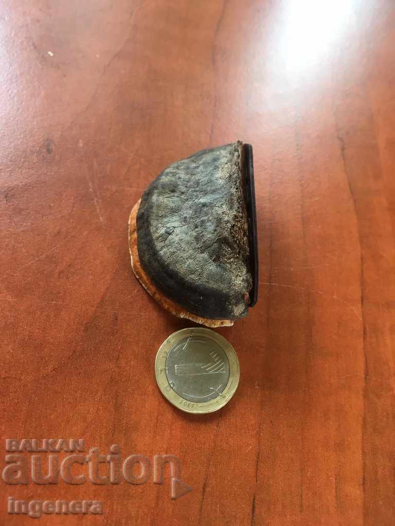 MAGNET NATURAL WOOD SPONGE UNIQUE with price 4.00 BGN | € 2.05 MAGNET NATURAL WOOD SPONGE UNIQUE with price 4.00 BGN | € 2.05