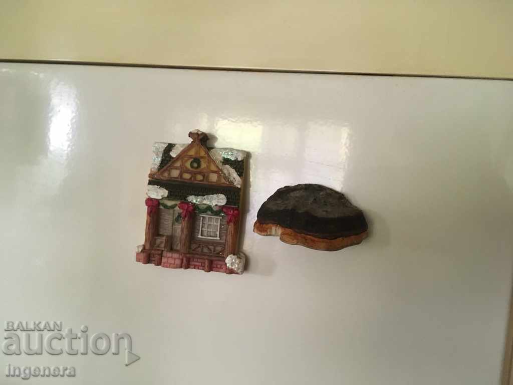 Auction MAGNET NATURAL WOOD SPONGE UNIQUE Auction MAGNET NATURAL WOOD SPONGE UNIQUE