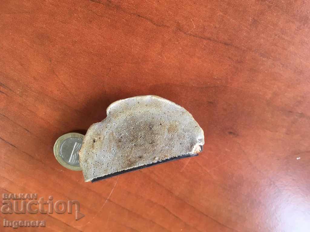 MAGNET NATURAL WOOD SPONGE UNIQUE - 5 MAGNET NATURAL WOOD SPONGE UNIQUE - 5