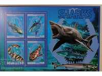 St. Vincent - ocean fauna, sharks