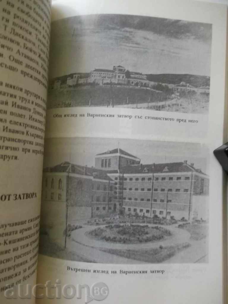 Auction  Chained youth - Nedyalko Kurtev 1994