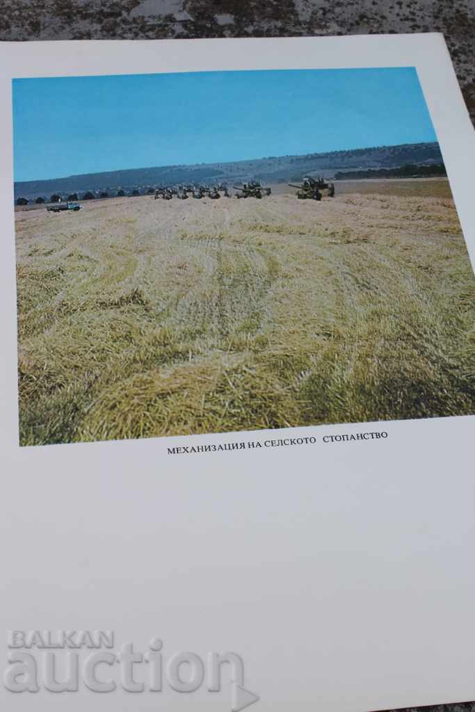 Auction MECHANIZATION AGRICULTURE LARGE SOC BOARD PHOTO POSTER Auction MECHANIZATION AGRICULTURE LARGE SOC BOARD PHOTO POSTER