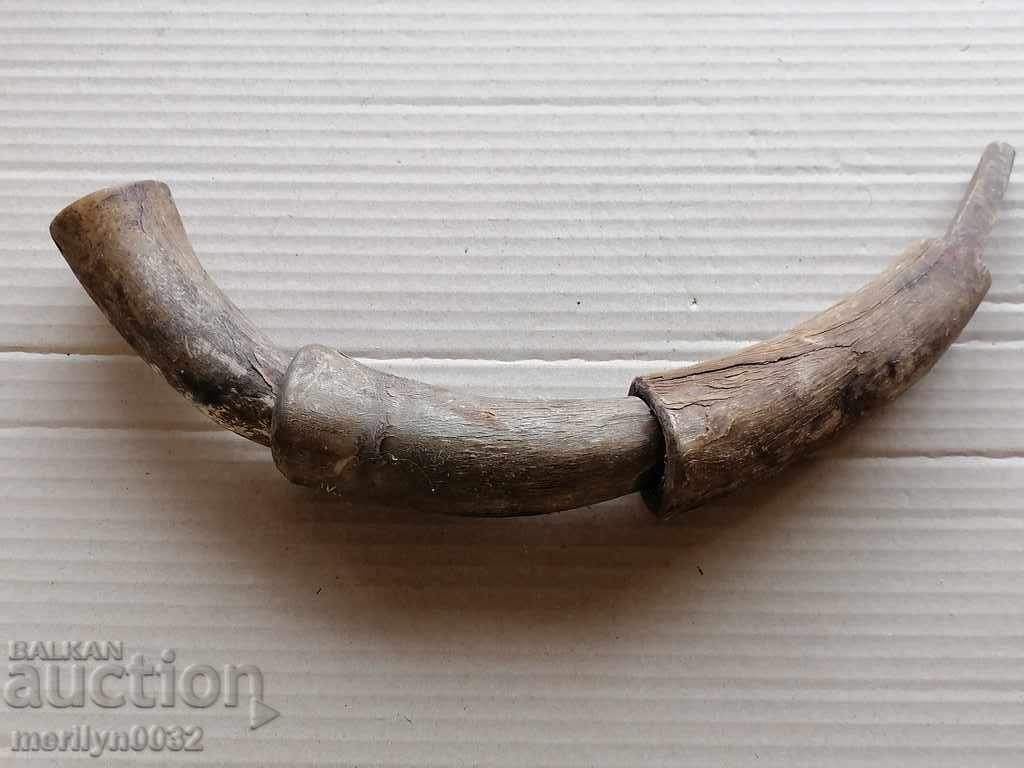 Three horn handle handles - 7