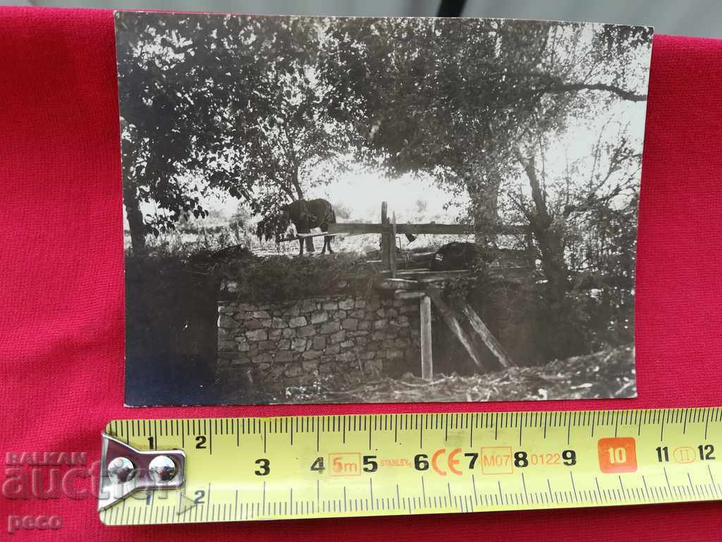 Dulap na bahchiika / Dolap na bahcha / Plovdiv Watering of cities with price 15.00 BGN | € 7.67 Dulap na bahchiika / Dolap na bahcha / Plovdiv Watering of cities with price 15.00 BGN | € 7.67