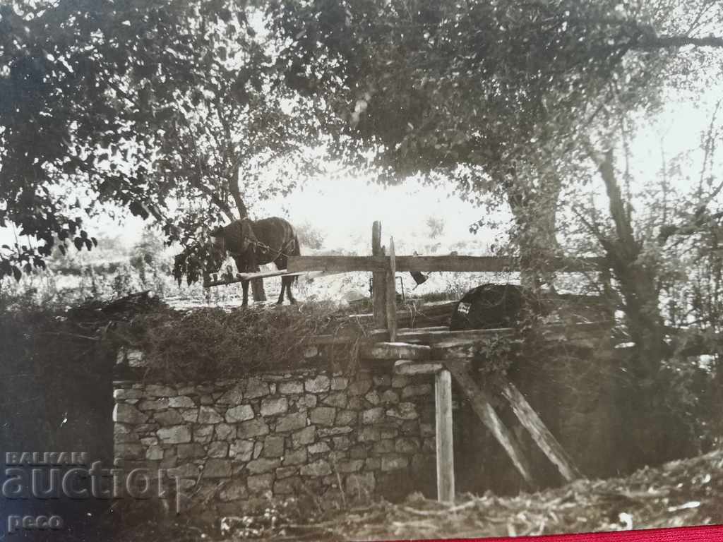 Auction Dulap na bahchiika / Dolap na bahcha / Plovdiv Watering of cities Auction Dulap na bahchiika / Dolap na bahcha / Plovdiv Watering of cities