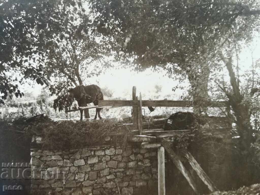 Delivery of Dulap na bahchiika / Dolap na bahcha / Plovdiv Watering of cities Delivery of Dulap na bahchiika / Dolap na bahcha / Plovdiv Watering of cities