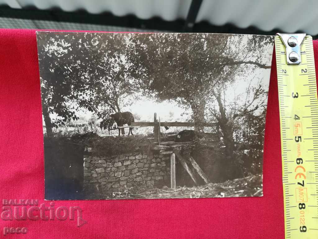 Dulap na bahchiika / Dolap na bahcha / Plovdiv Watering of cities - 5 Dulap na bahchiika / Dolap na bahcha / Plovdiv Watering of cities - 5
