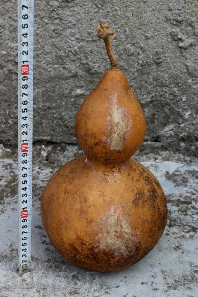 OLD BIG SHORT PUMPKIN with price 9.00 BGN | € 4.60 OLD BIG SHORT PUMPKIN with price 9.00 BGN | € 4.60