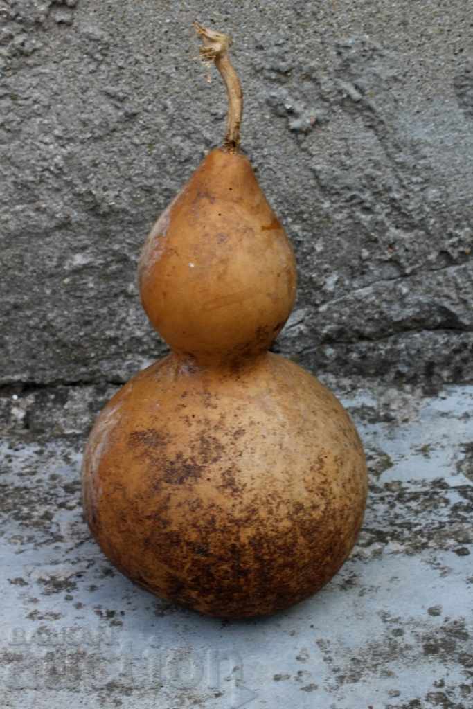 Auction OLD BIG SHORT PUMPKIN Auction OLD BIG SHORT PUMPKIN