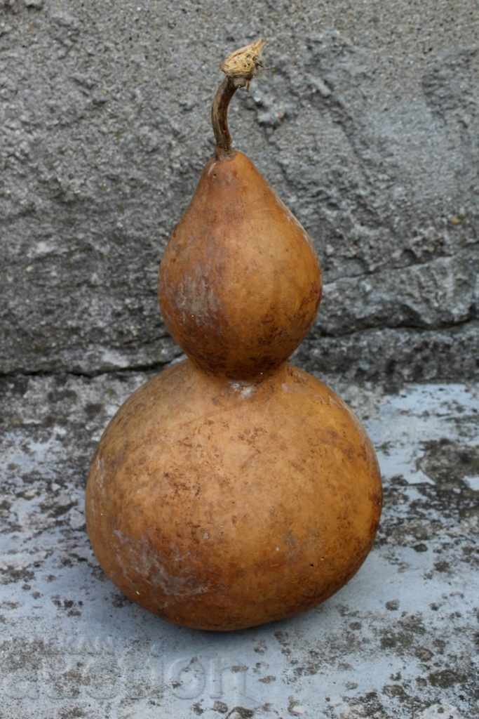 Delivery of OLD BIG SHORT PUMPKIN Delivery of OLD BIG SHORT PUMPKIN