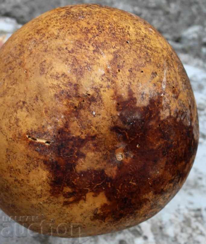 OLD BIG SHORT PUMPKIN - 5 OLD BIG SHORT PUMPKIN - 5