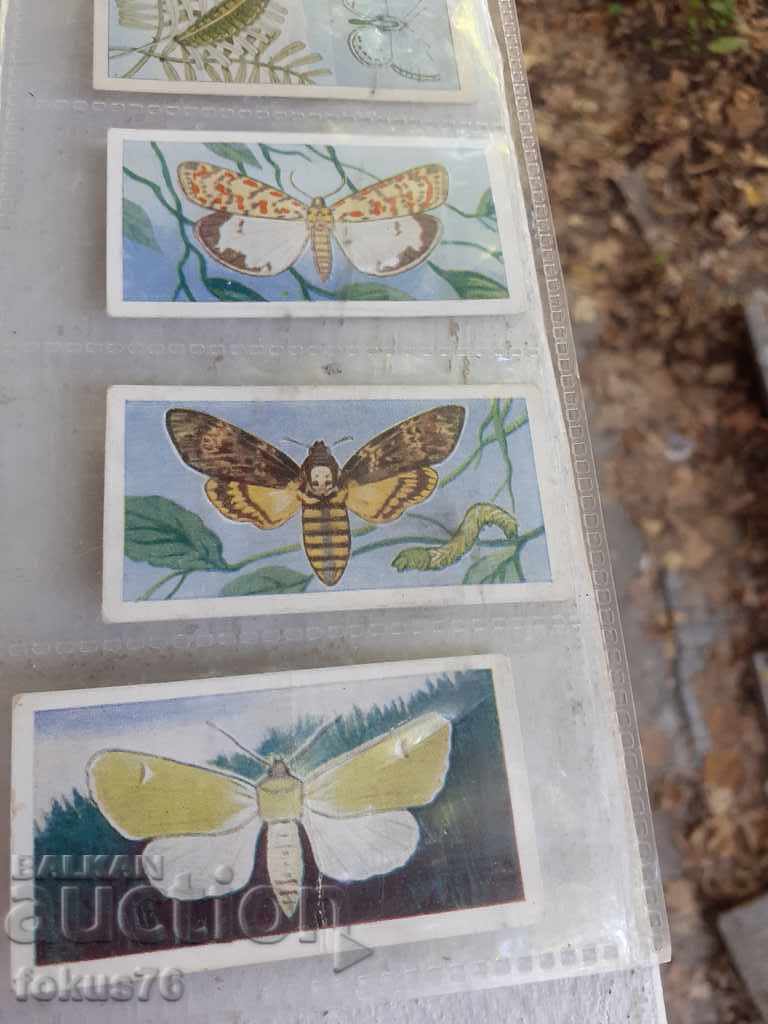 Delivery of COLLECTION CARDS BUTTERFLIES BUTTERFLIES INDIANS COWBOYS Delivery of COLLECTION CARDS BUTTERFLIES BUTTERFLIES INDIANS COWBOYS