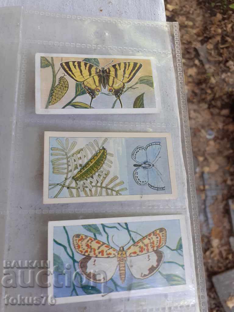 COLLECTION CARDS BUTTERFLIES BUTTERFLIES INDIANS COWBOYS - 5 COLLECTION CARDS BUTTERFLIES BUTTERFLIES INDIANS COWBOYS - 5