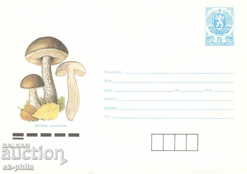 Envelope - Mushrooms - Birch mushroom