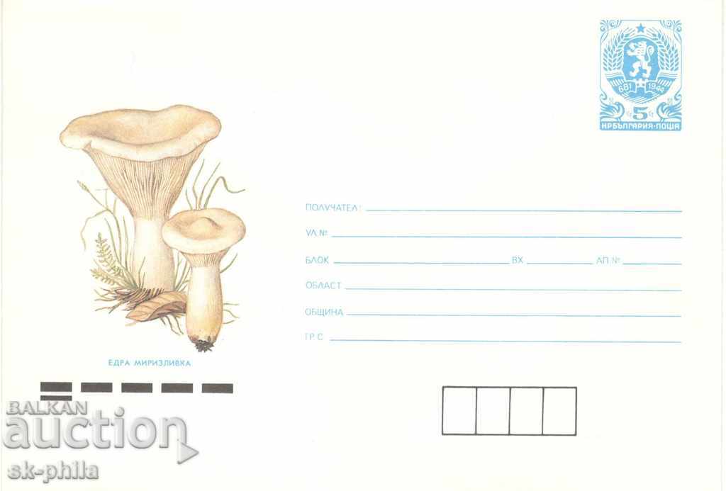 Envelope - Mushrooms - Large odor