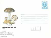 Envelope - Mushrooms - Cucumber