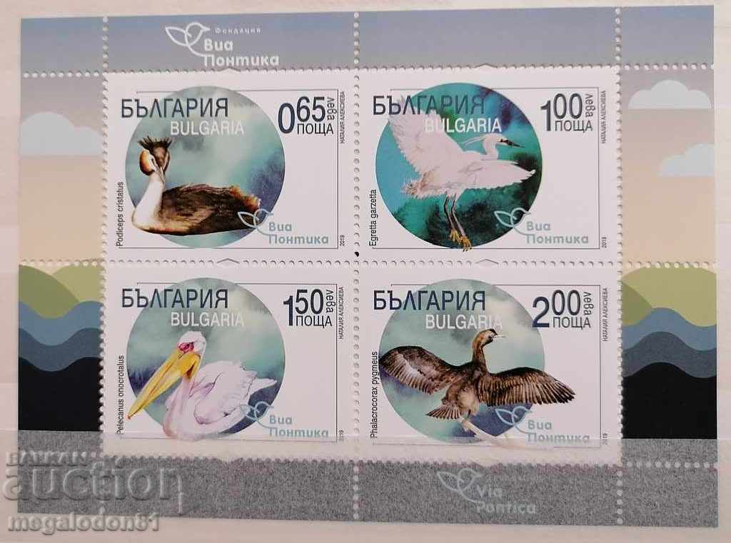 България - водоплаващи птици Виа Понтика
