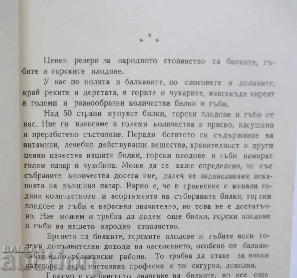 Auction  Bulgarian herb Herbs. Mushrooms