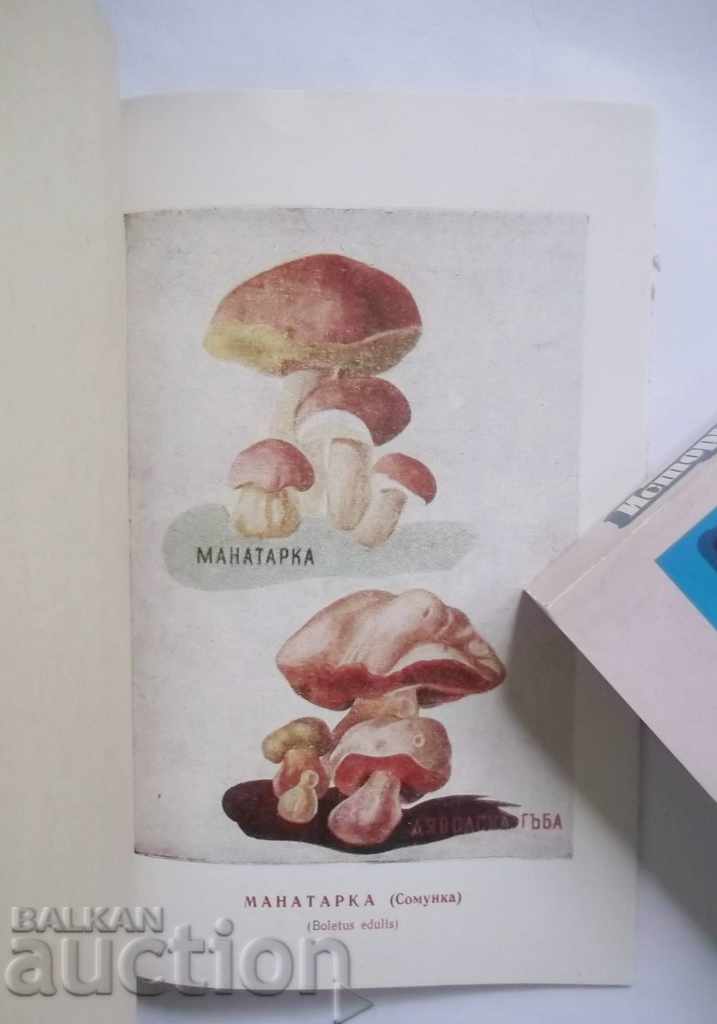 Delivery of Bulgarian herb Herbs. Mushrooms