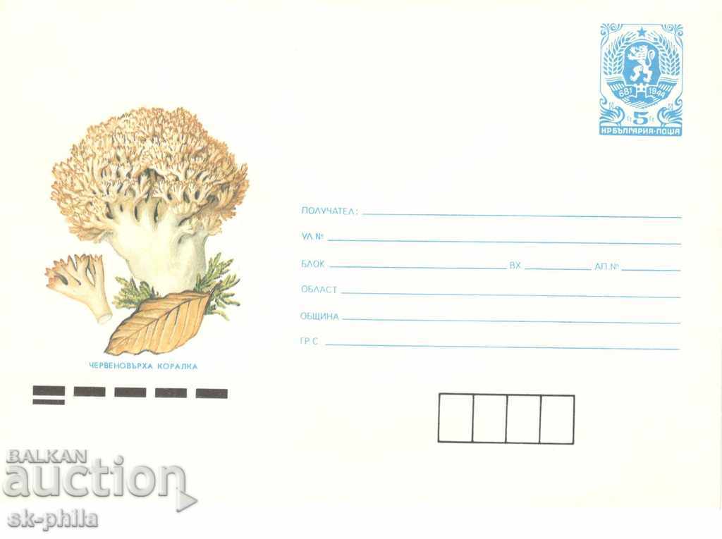 Envelope - Mushrooms - Coral