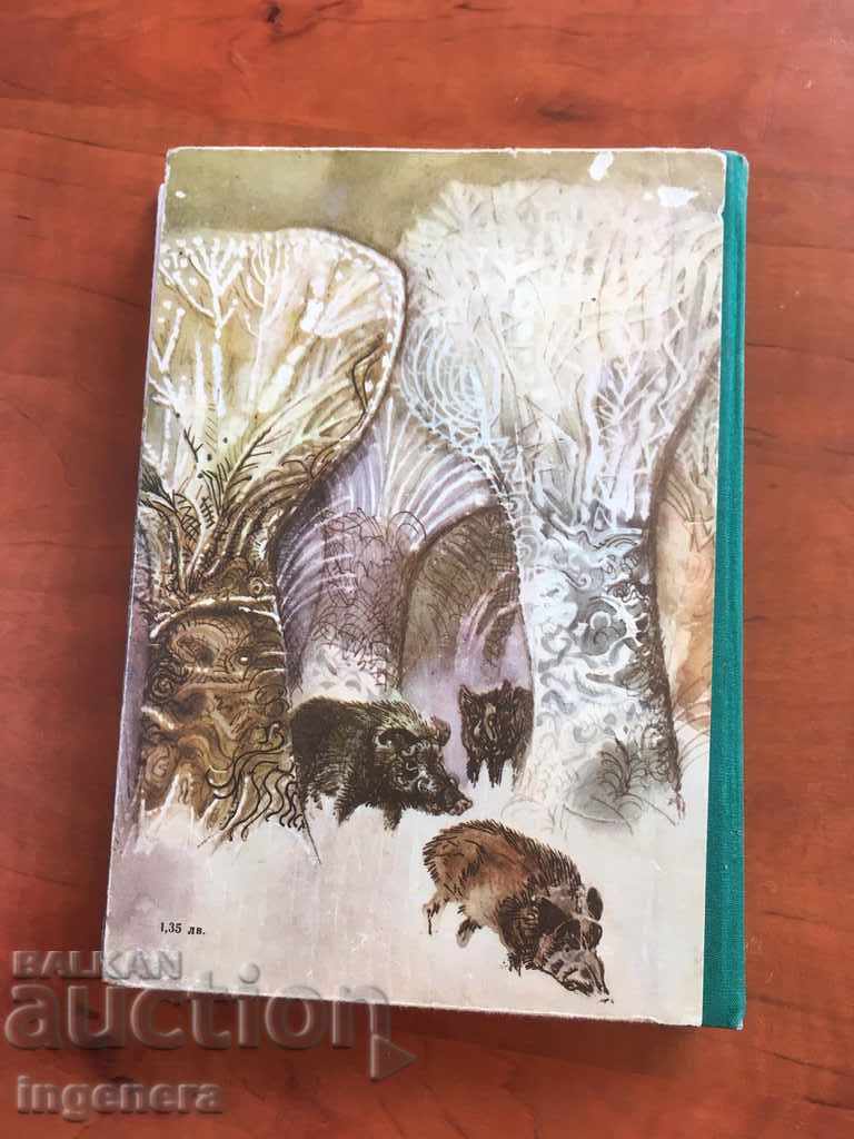 BOOK OF THE FOREST-1975 - 5 BOOK OF THE FOREST-1975 - 5