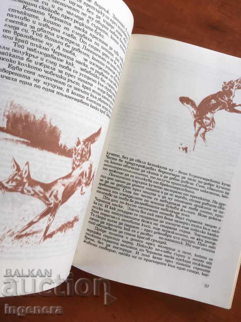 BOOK OF THE FOREST-1975 - 6 BOOK OF THE FOREST-1975 - 6