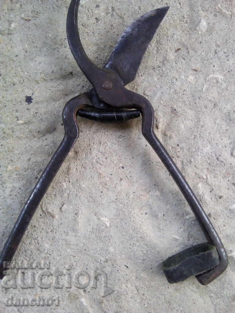 Auction  VINEYARD SCISSORS