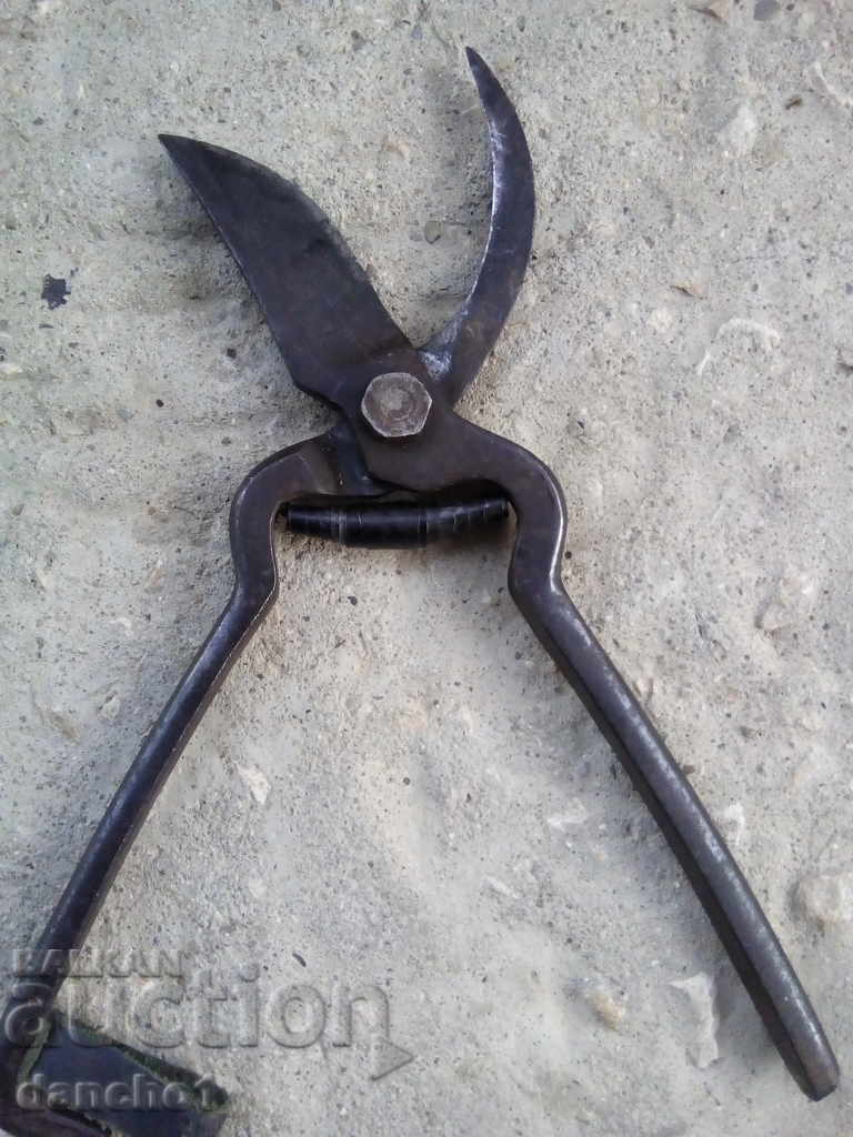 Delivery of VINEYARD SCISSORS