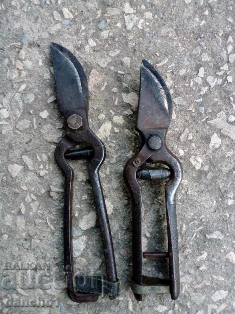 VINEYARD SCISSORS - 5