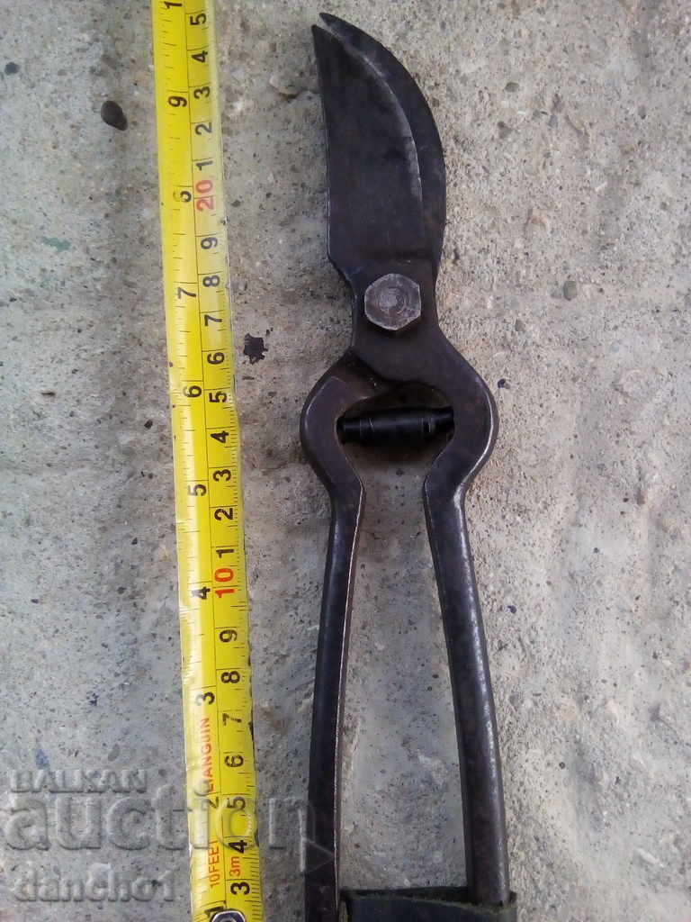 ЛОЗАРСКА НОЖИЦА