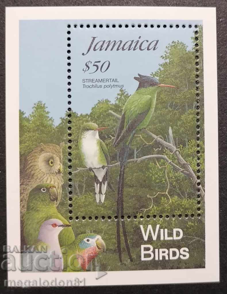Ямайка - птици