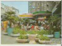 Card Bulgaria Varna Cafe "Odessos" 1*