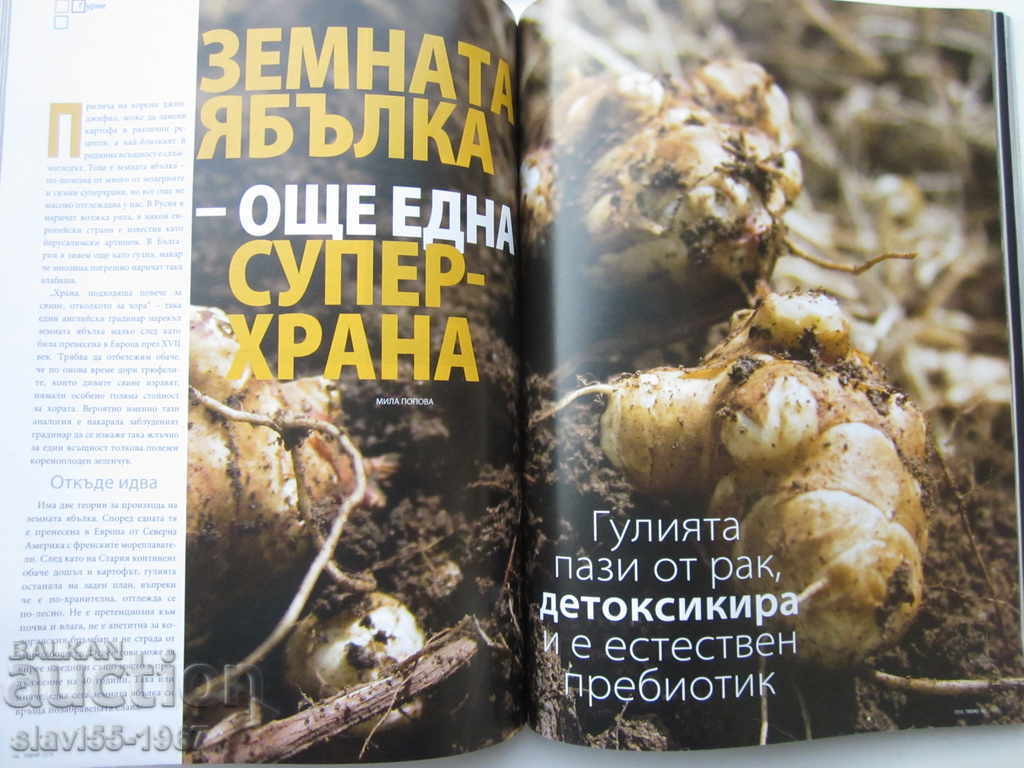 Delivery of TREND MAGAZINE 2016 !!! Delivery of TREND MAGAZINE 2016 !!!