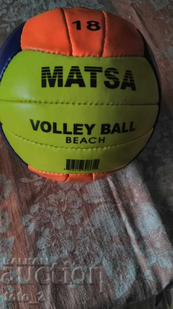 Auction  VOLLEYBALL - REDUCTION