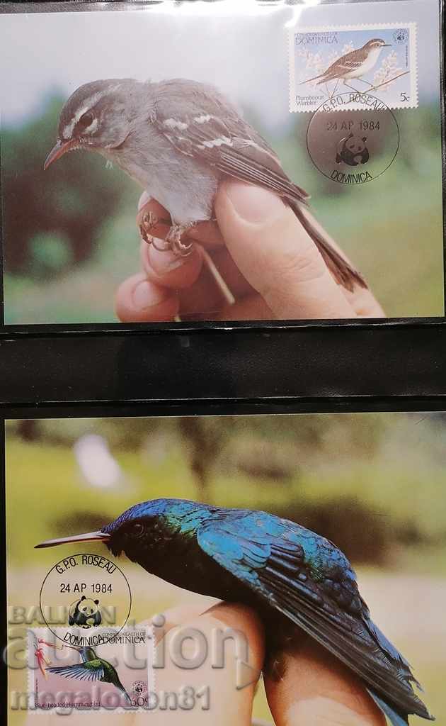 Dominica - a rare species of bird, WWF