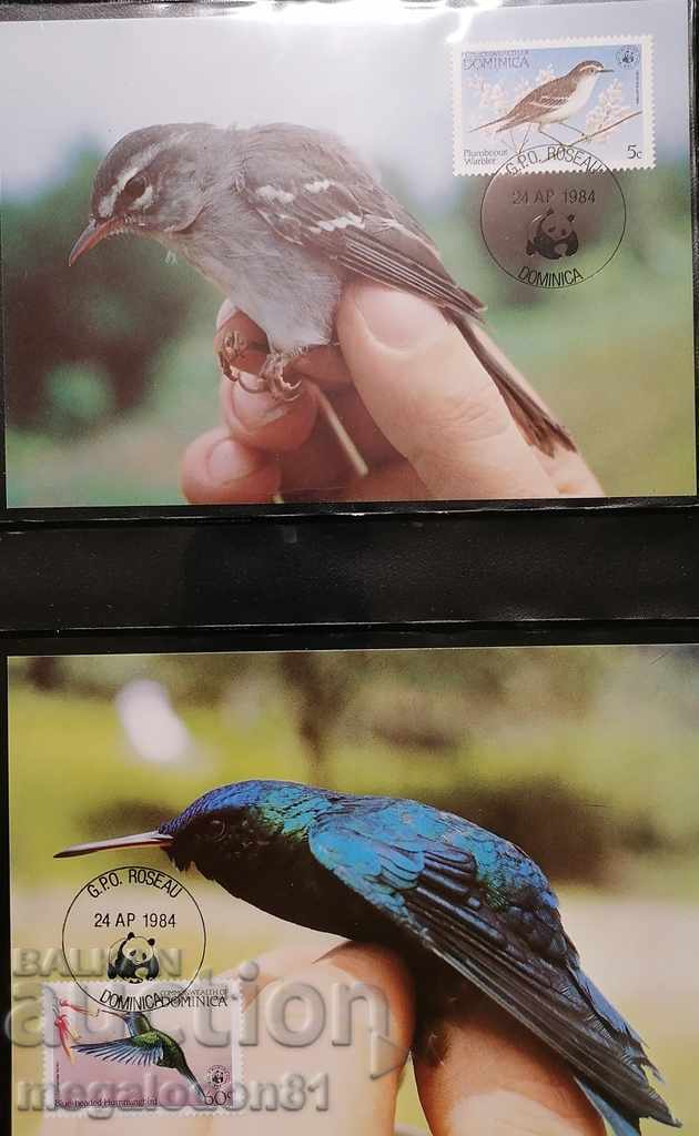 Dominica - rare bird species, WWF