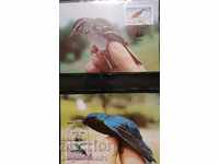 Доминика - редки видове птици, WWF