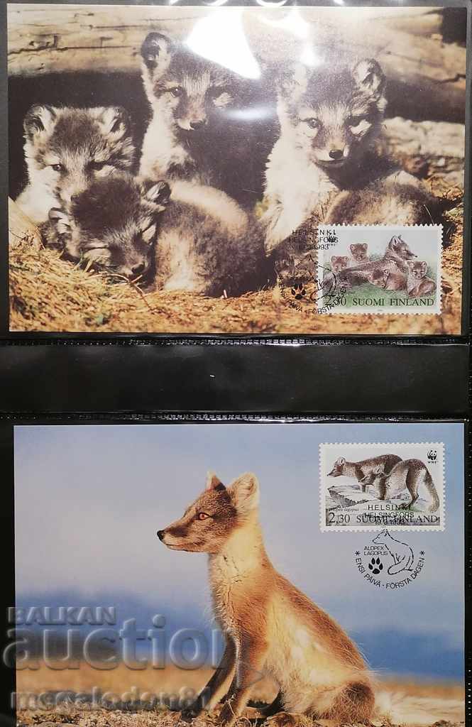 Φινλανδία - πολική αλεπού, WWF