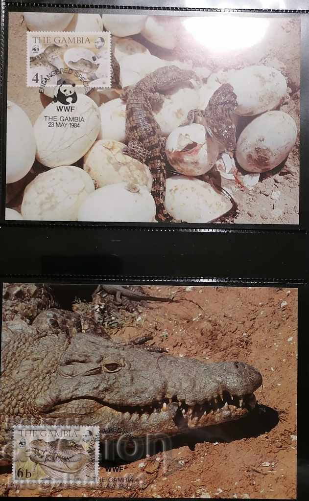 Gambia - Nile crocodile, WWF with price 25.00 BGN | € 12.78 Gambia - Nile crocodile, WWF with price 25.00 BGN | € 12.78