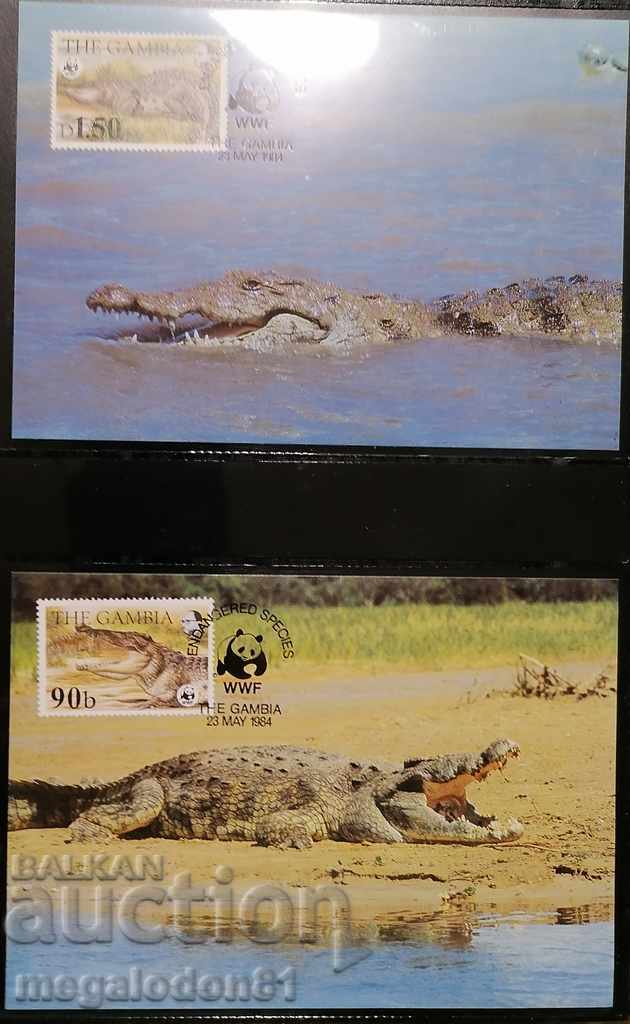 Gambia - Nile crocodile, WWF