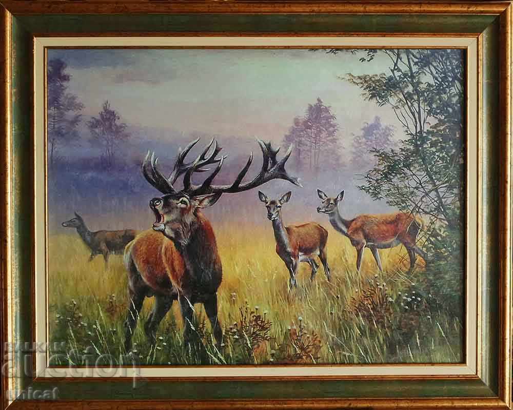 Red deer with hinds, picture