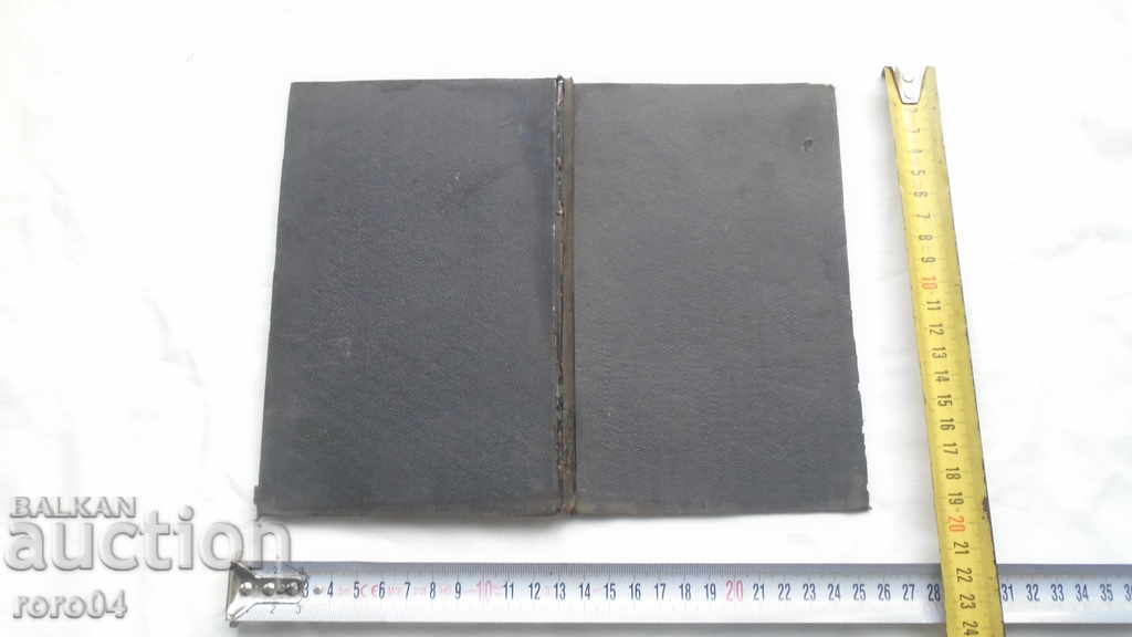 NIHILISTKA - SOFIA KOVALEVSKA - 6