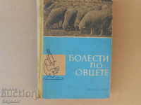 Diseases of sheep 1963